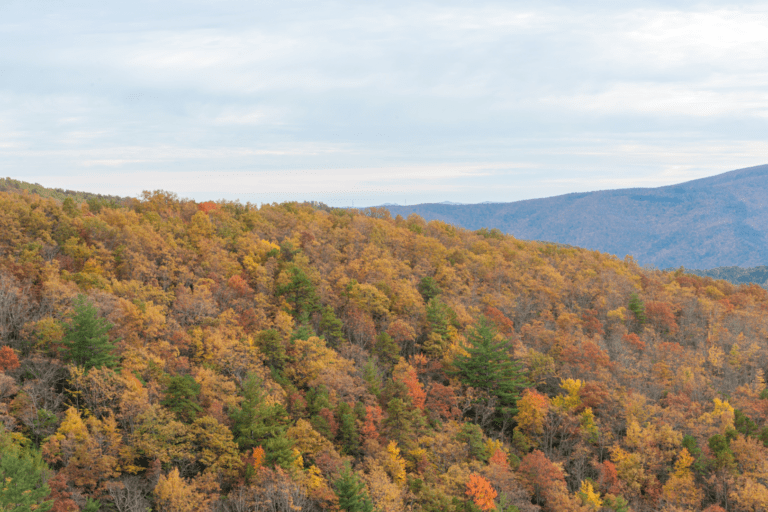 What Is The Best Time of Year to Visit Blue Ridge